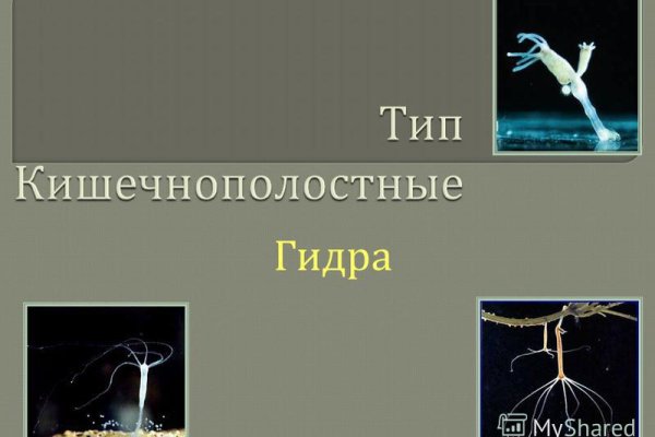 Войти даркнет