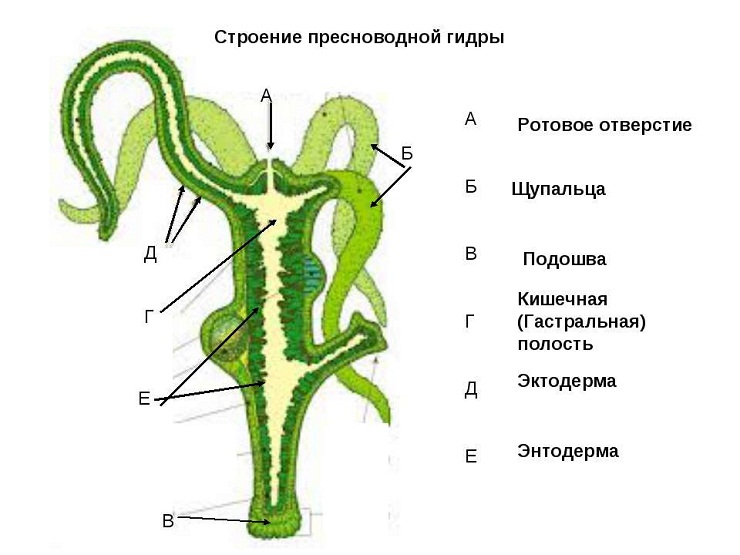 Кракен лучший маркетплейс